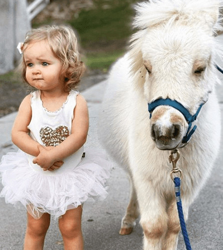 With mini horse